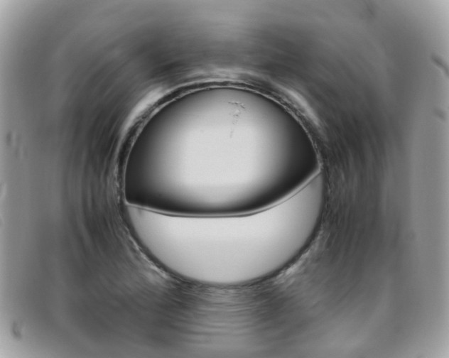 X0000095951172200801110909