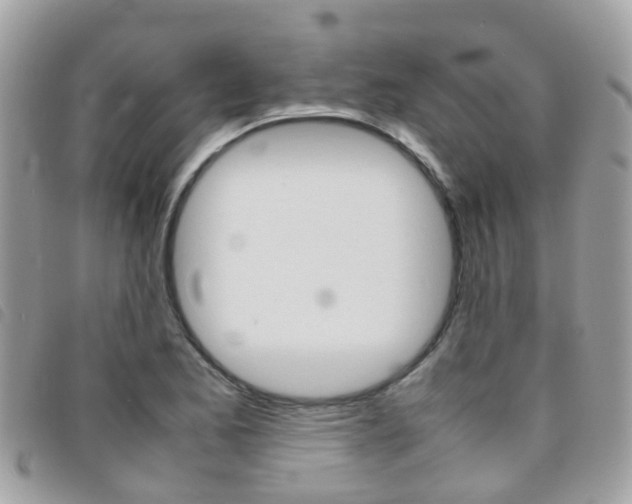 X0000095951173200801110909