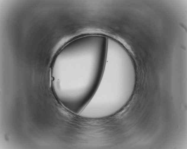 X0000095951175200801110909