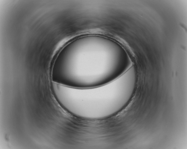 X0000095951176200801110909