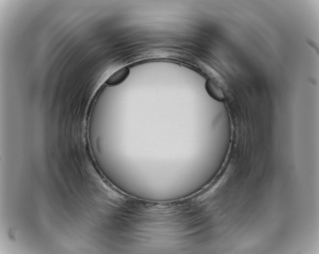 X0000095951178200801110909
