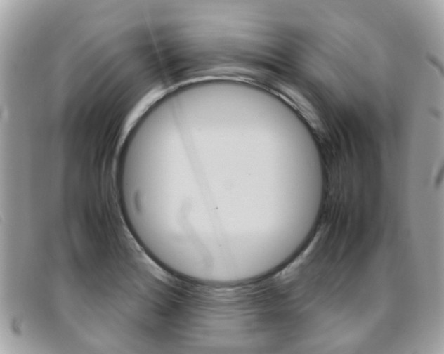 X0000095951180200801110909
