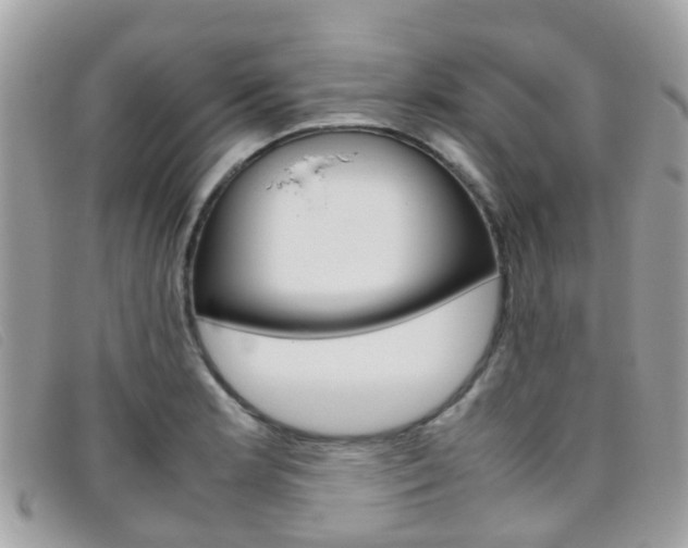 X0000095951181200801110909