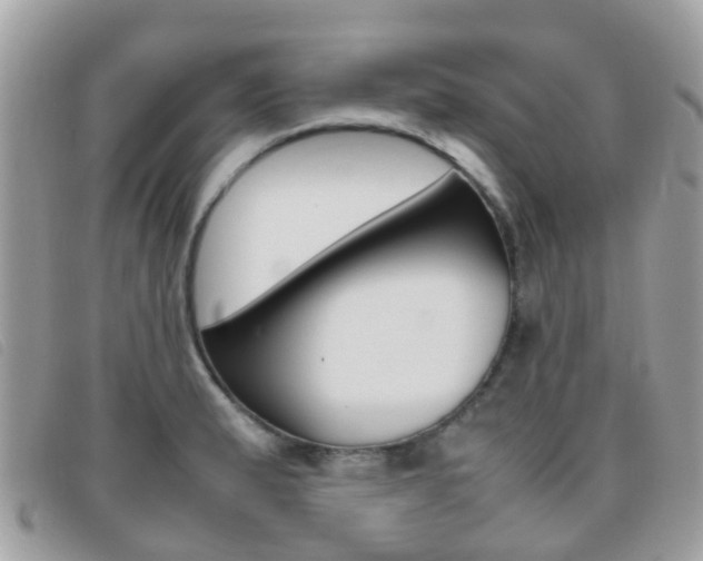 X0000095951183200801110909