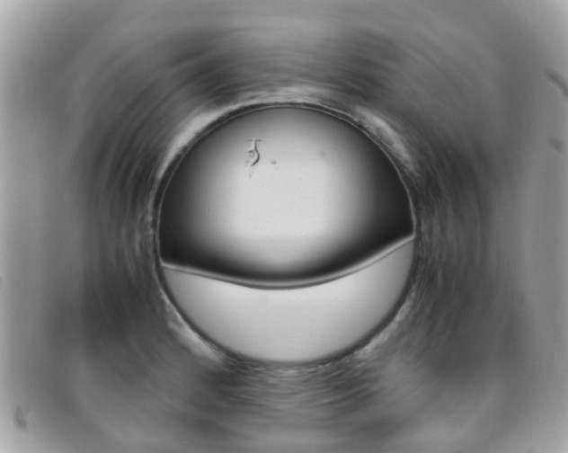 X0000095951184200801110909
