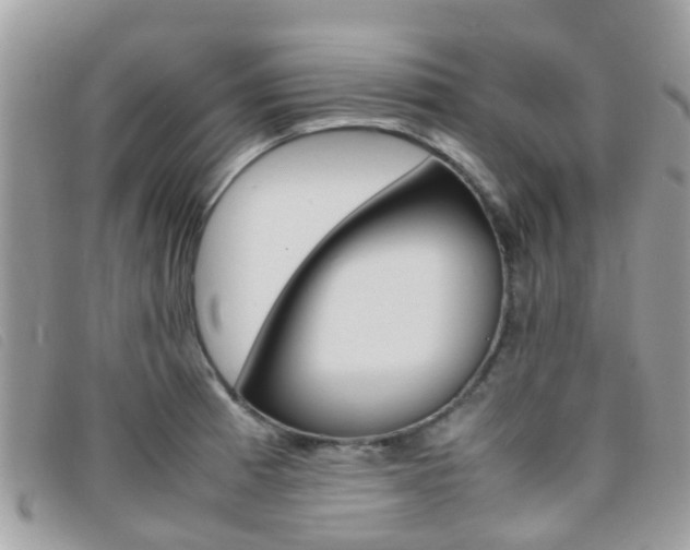 X0000095951185200801110909