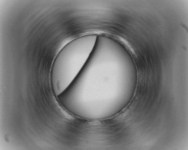 X0000095951186200801110909