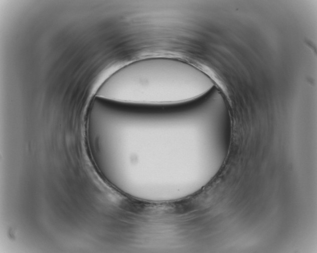 X0000095951187200801110909