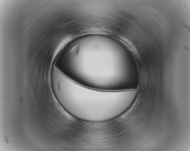X0000095951188200801110909