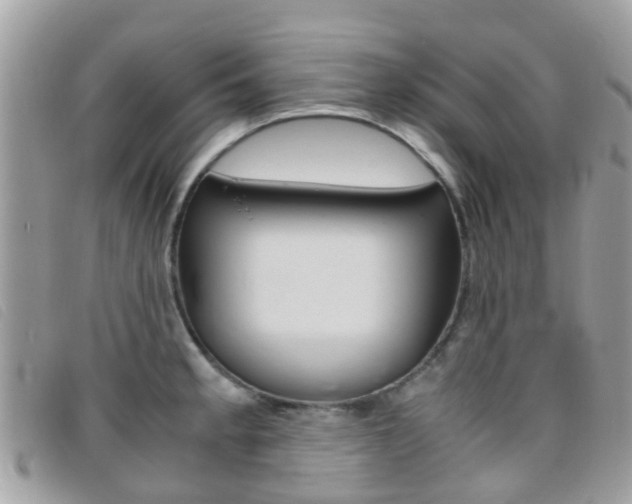 X0000095951189200801110909