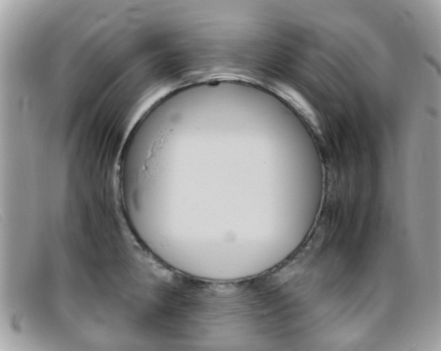 X0000095951190200801110909