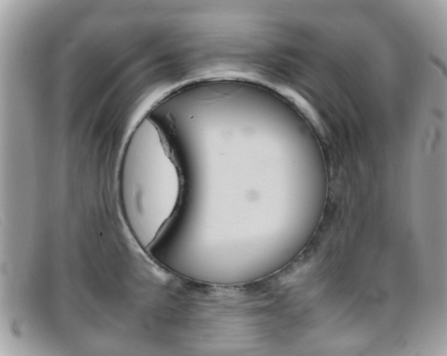 X0000095951191200801110909