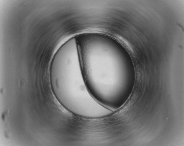 X0000095951192200801110909