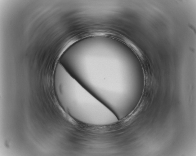 X0000095951194200801110909