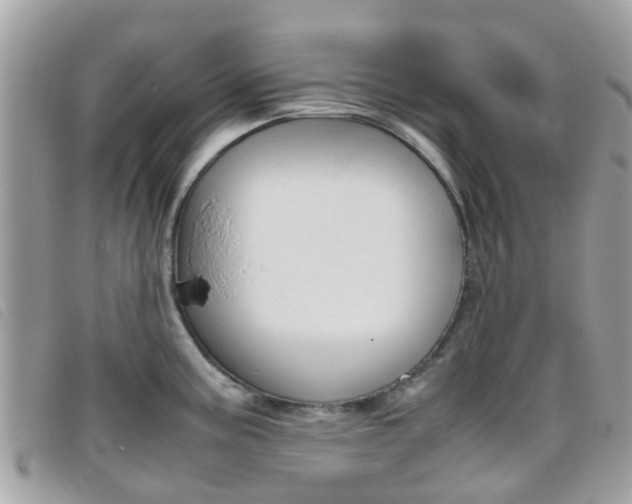 X0000095951195200801110909
