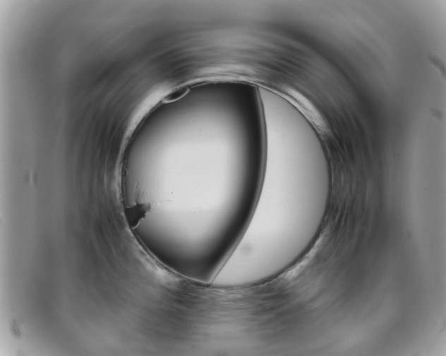 X0000095951196200801110909