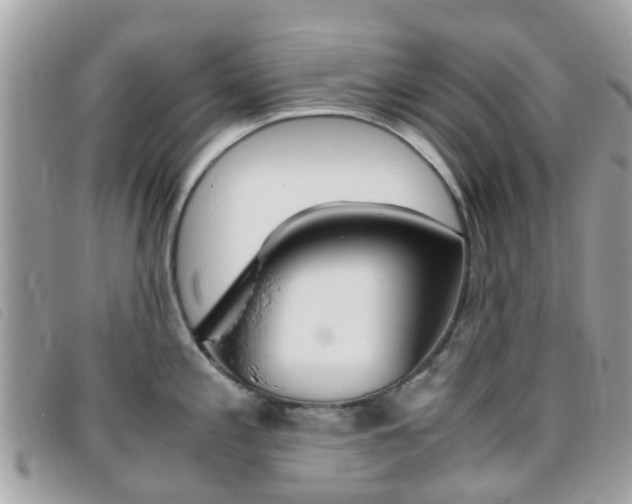 X0000095951197200801110909