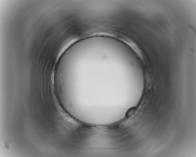 X0000095951198200801110909
