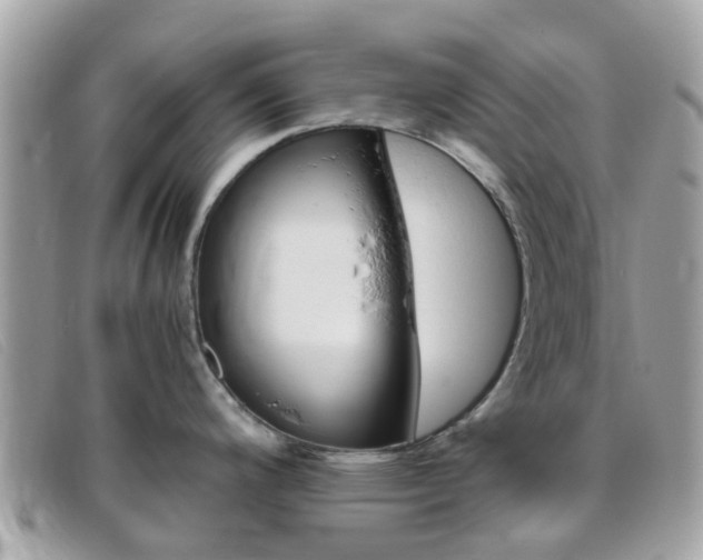 X0000095951200200801110909