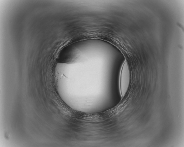 X0000095951201200801110908
