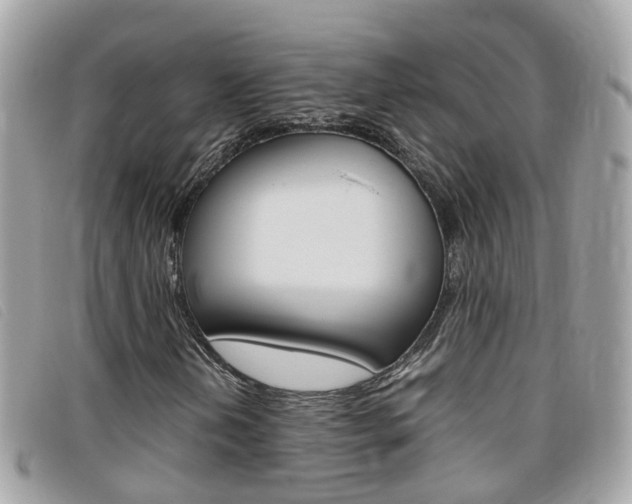 X0000095951202200801110908