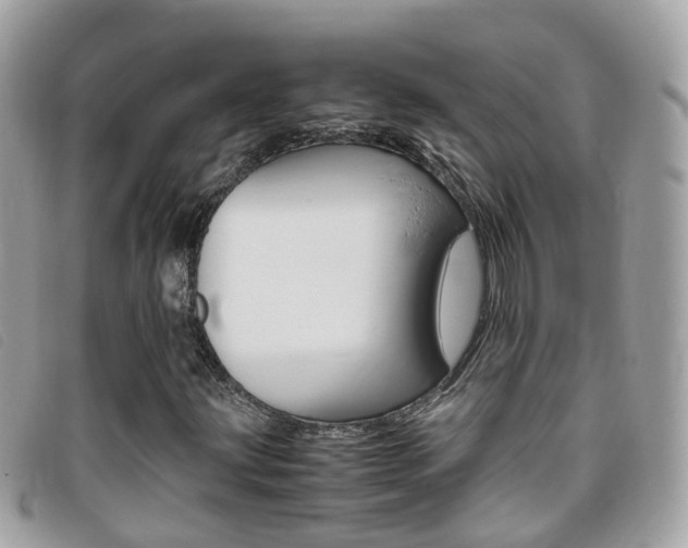 X0000095951203200801110908