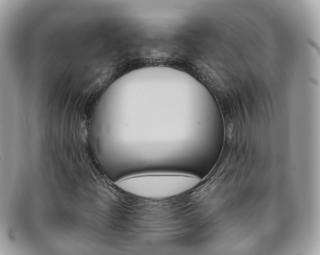 X0000095951204200801110908