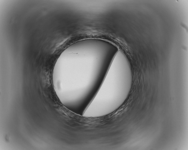 X0000095951205200801110908