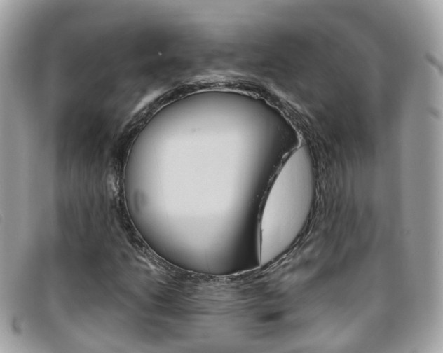 X0000095951206200801110908