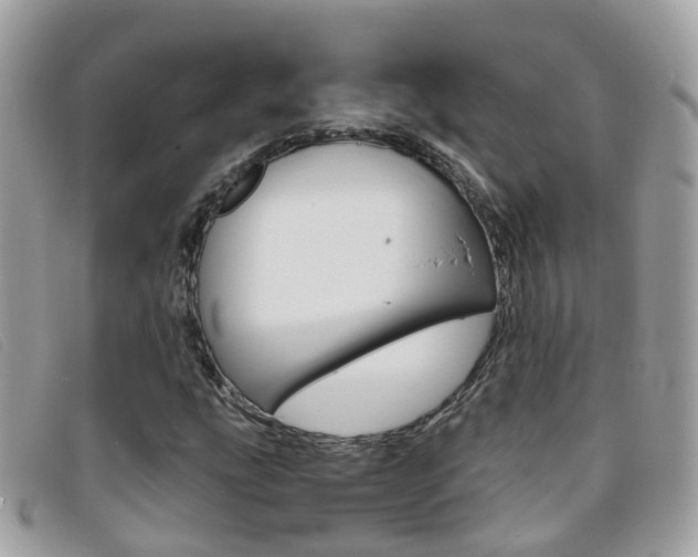 X0000095951207200801110908