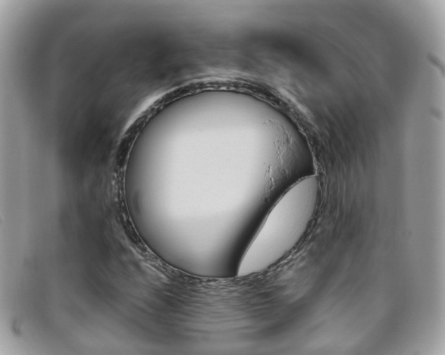 X0000095951208200801110908