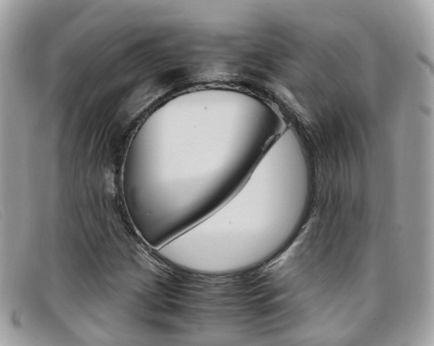 X0000095951209200801110908