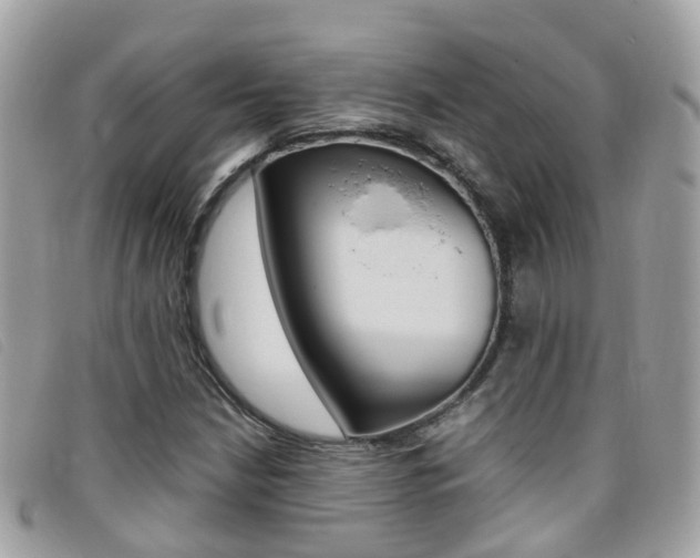X0000095951210200801110908