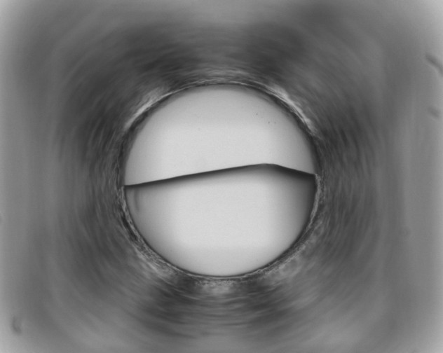 X0000095951211200801110908