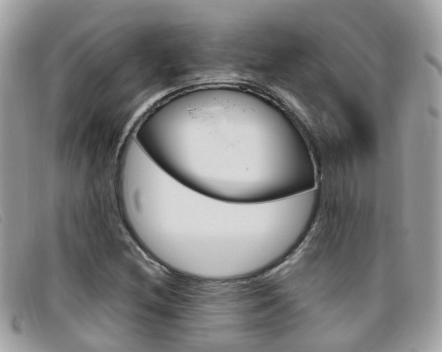 X0000095951212200801110908