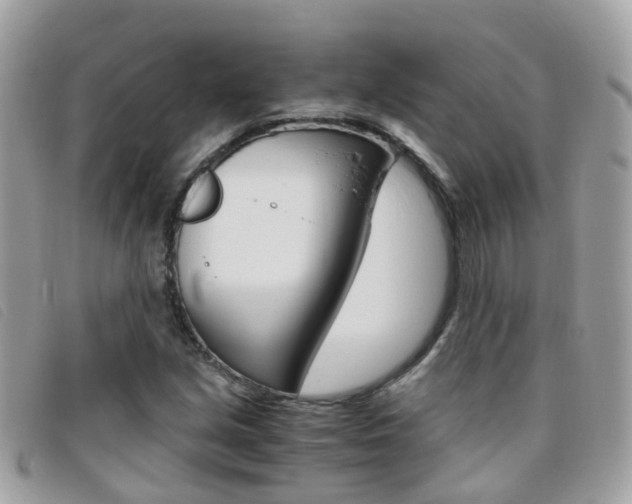 X0000095951213200801110908