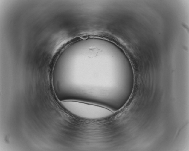 X0000095951214200801110908