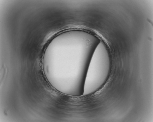 X0000095951215200801110908