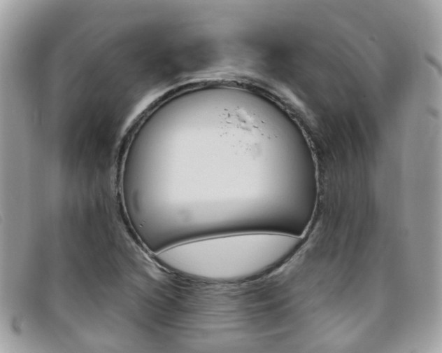 X0000095951216200801110908