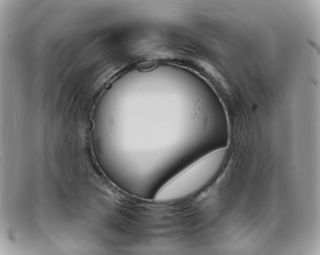 X0000095951217200801110908