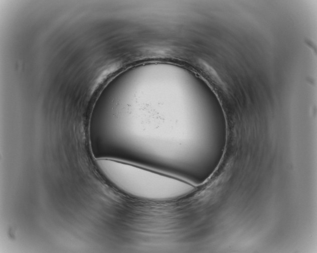 X0000095951218200801110908
