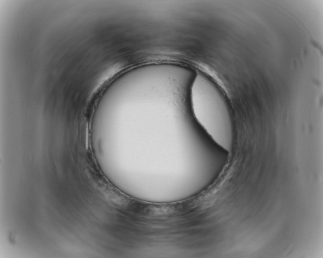 X0000095951219200801110908