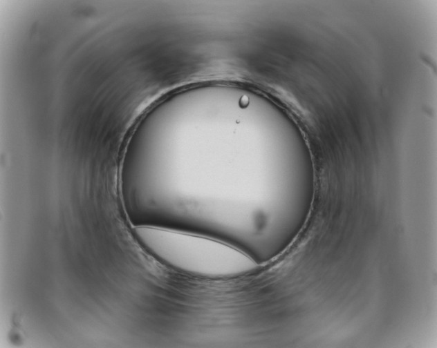 X0000095951220200801110908