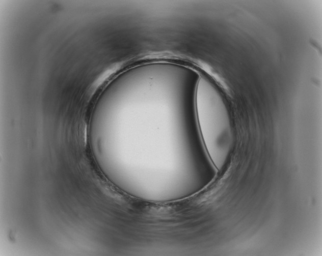 X0000095951221200801110908