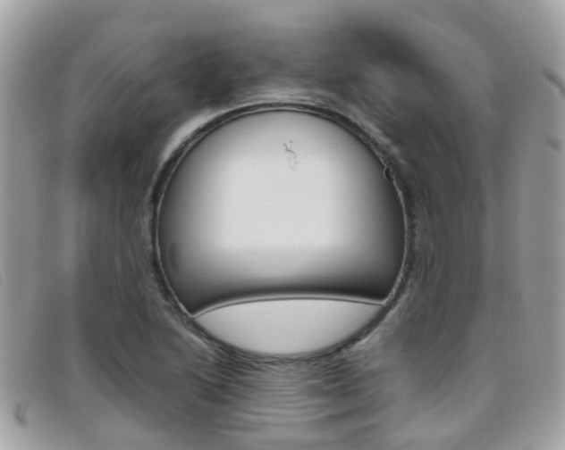 X0000095951222200801110909