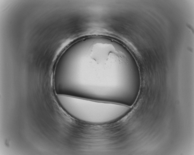 X0000095951224200801110909