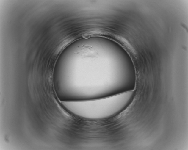X0000095951225200801110909