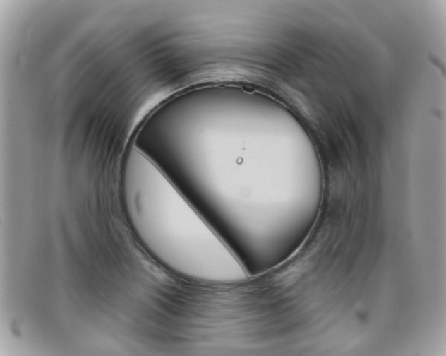 X0000095951226200801110909