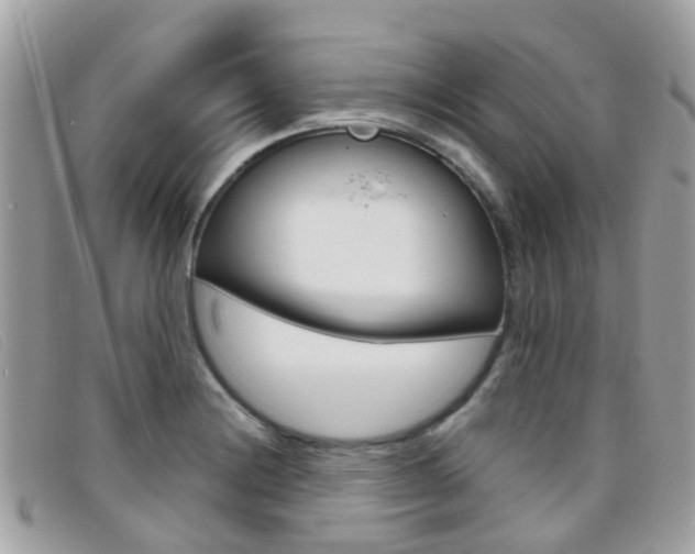 X0000095951228200801110909