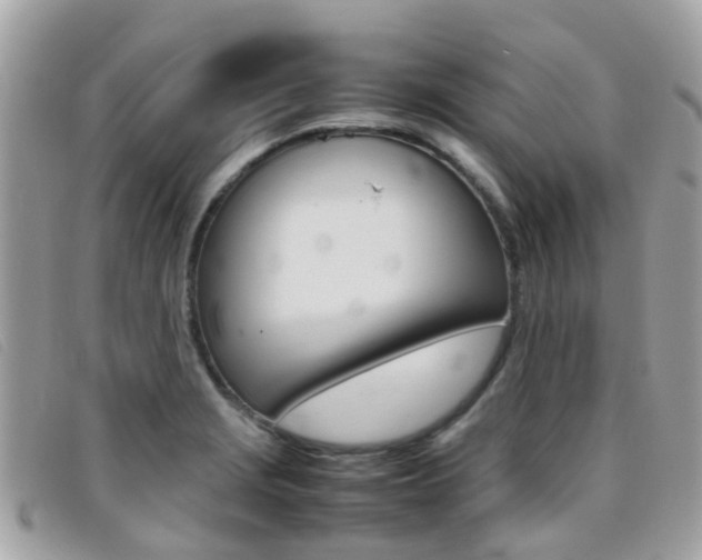 X0000095951229200801110909